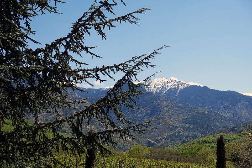 Campings Pyrénées-Orientales